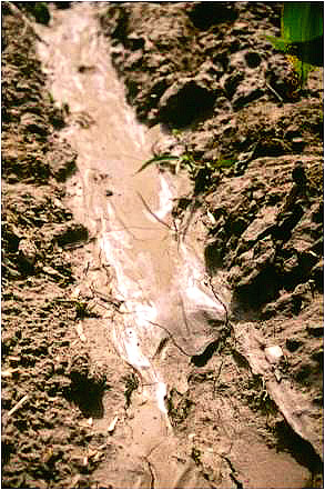 Brak PAM to spływ błota na skutek erozji wodnej - ablacji deszczowej.