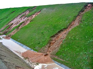 Hydrosiew skarp drogowych i ochrona przed erozją - kontrola erozji gleby za pomocą hydrosiewu.