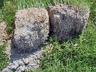 Ochrona przed erozją i retencja wody w glebie wykorzystująca mineralno-polimerowy absorbent - alternatywa hydrożelu
