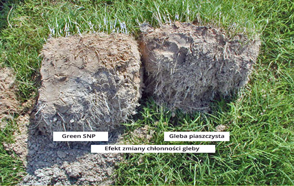 Zmiana chłonności wody wpływa na rozwój systemu korzeniowego w luźnych glebach.