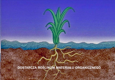 Hydrosiew - mulcz dostarcza roślinom materiał organiczny.
