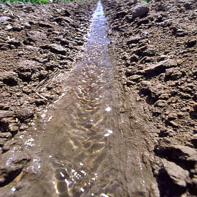 Przykład kontroli erozji przez zastosowanie PAM do flokulacji osadów gleby w wodzie. Erozja nie występuje.