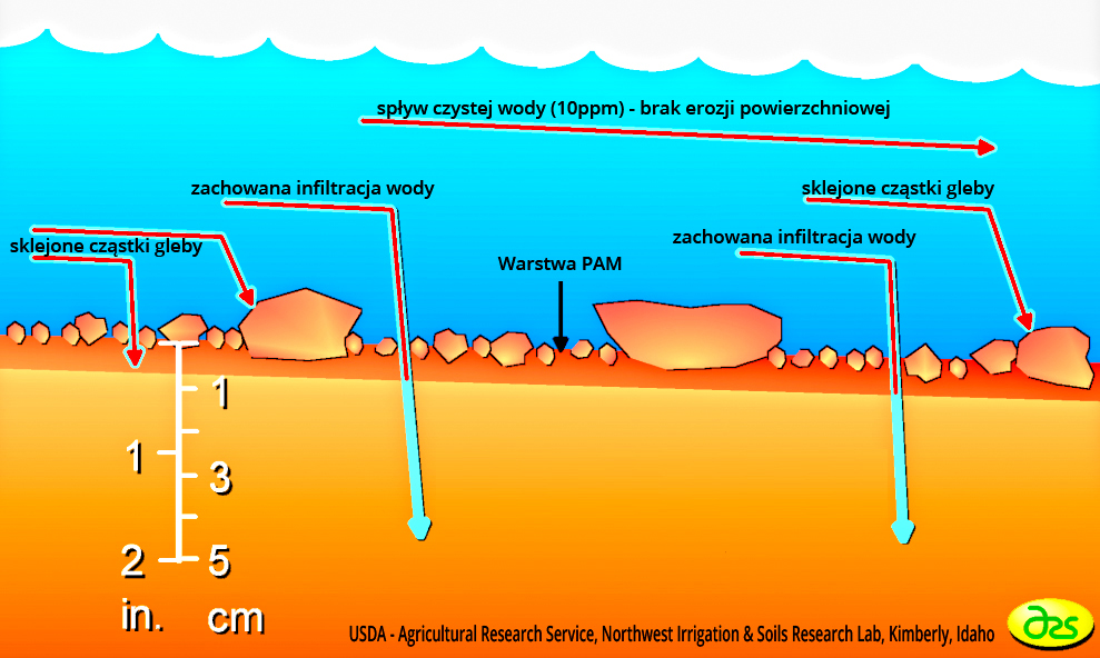 Klej  do hydrosiewu PAM flokuluje cząstki gleby i zapobiega erozji deszczowej.
